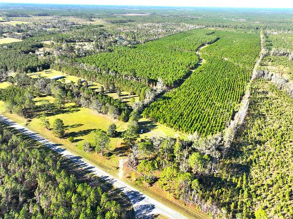 112 Acres of Recreational Land & Farm for Sale in Waycross, Georgia