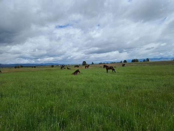 501 Acres of Improved Agricultural Land for Sale in Lakeview, Oregon