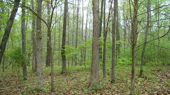 5 Acres of Recreational Land for Sale in Mountain View, Missouri
