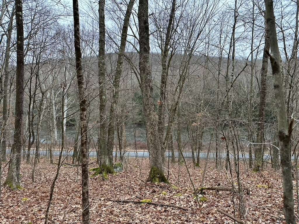 Land for Sale in Sigel, Pennsylvania