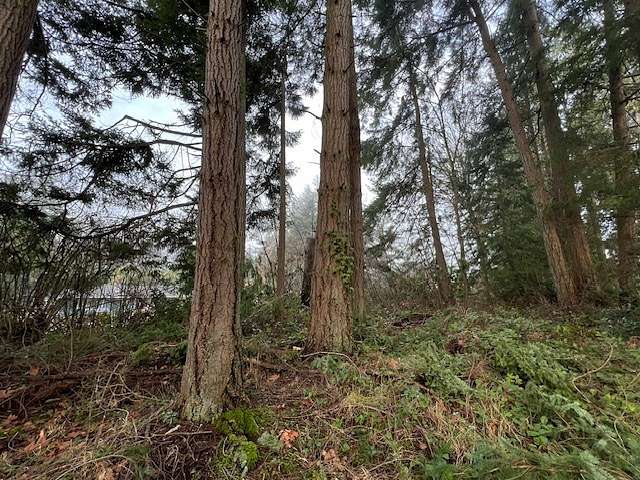 Residential Land for Sale in Port Orchard, Alabama