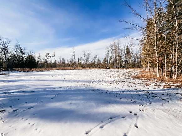 40 Acres of Recreational Land for Sale in Ellsworth, Michigan
