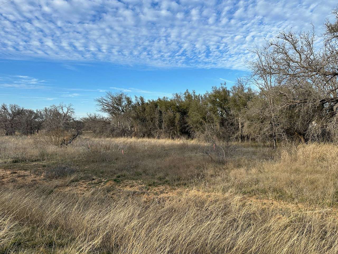 0.73 Acres of Residential Land for Sale in Brownwood, Texas