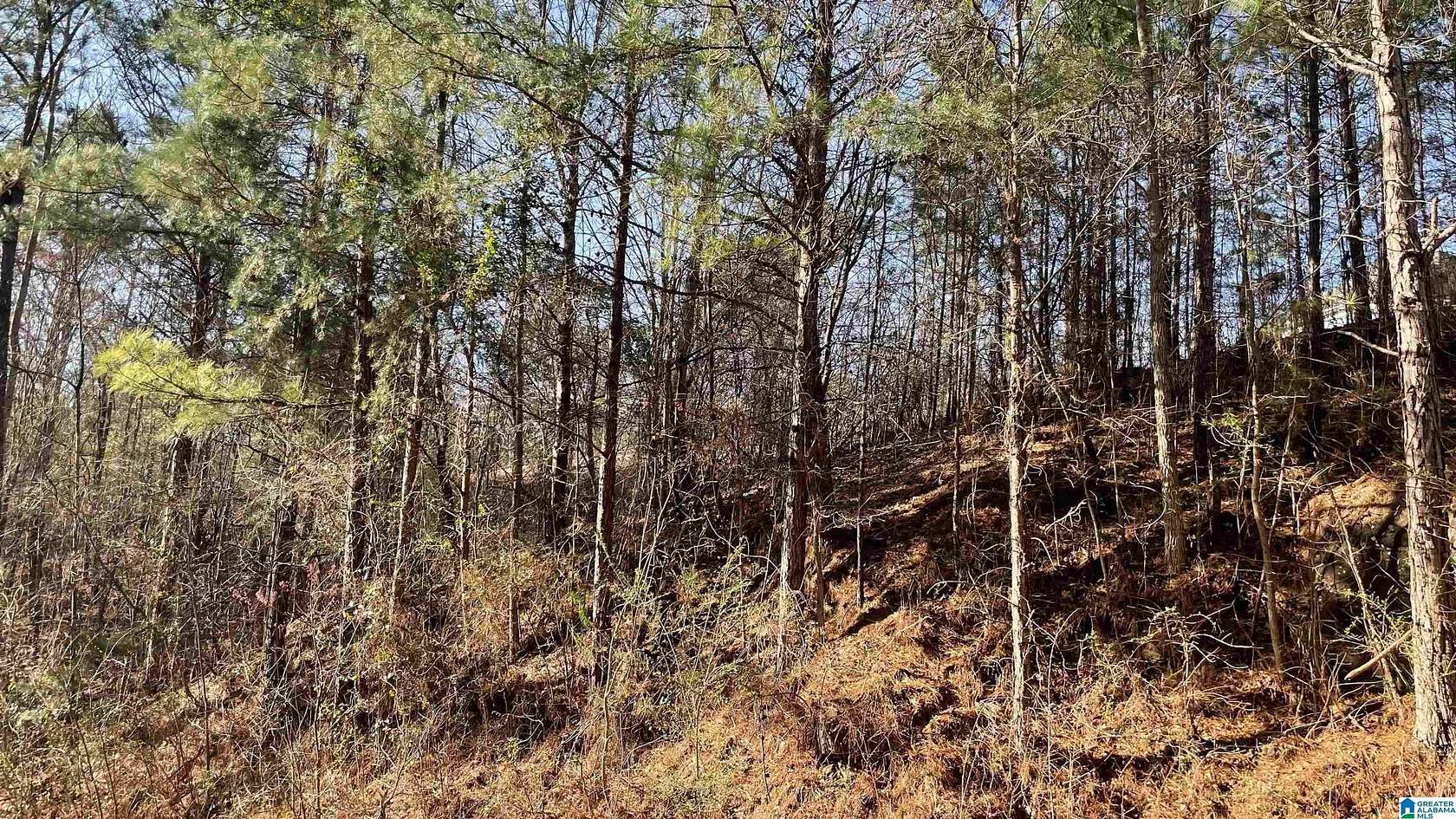 1.01 Acres of Land for Sale in McCalla, Alabama