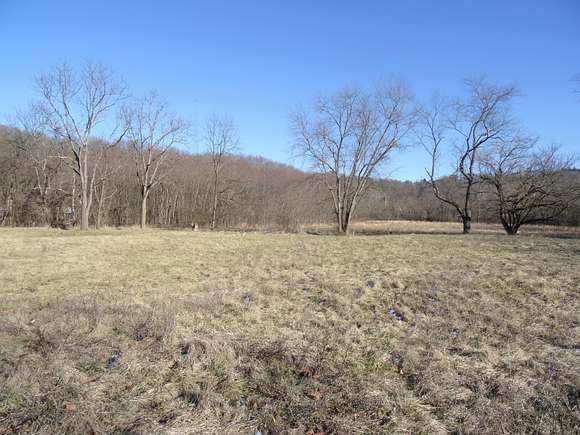10 Acres of Residential Land for Sale in Trimble, Ohio