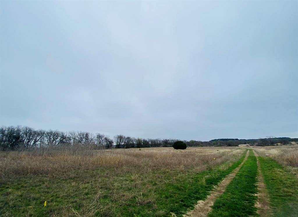48.4 Acres of Land for Sale in Brock, Texas