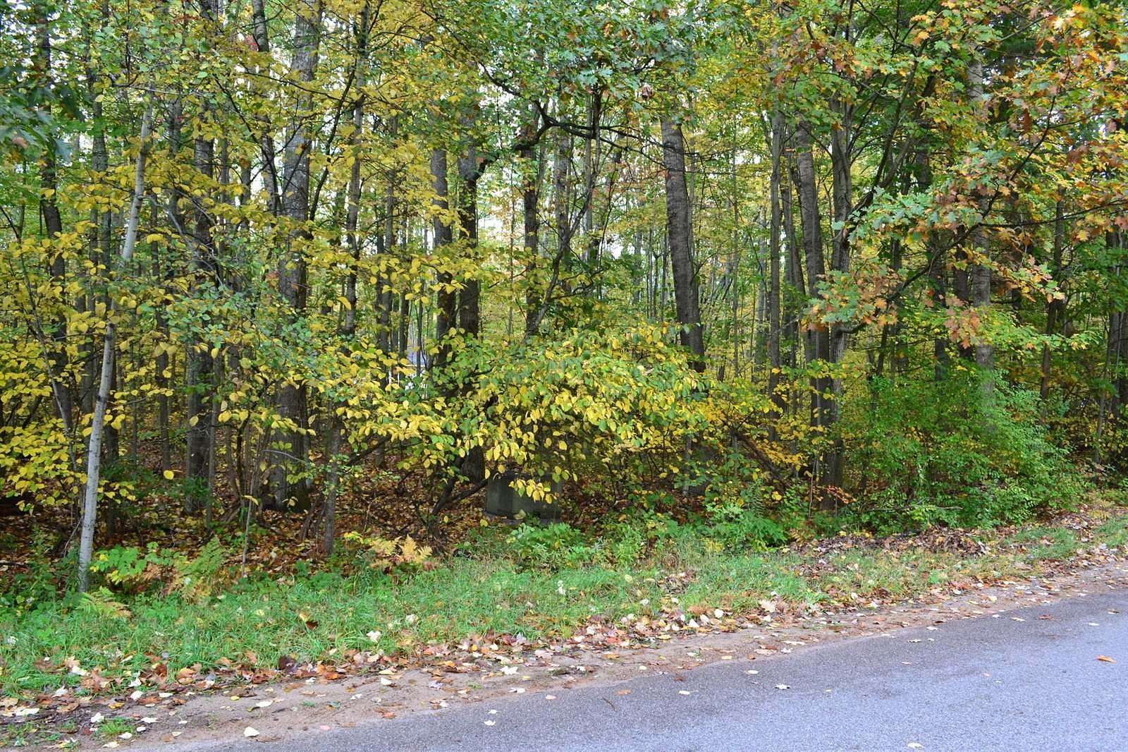 0.35 Acres of Residential Land for Sale in Houghton Lake, Michigan