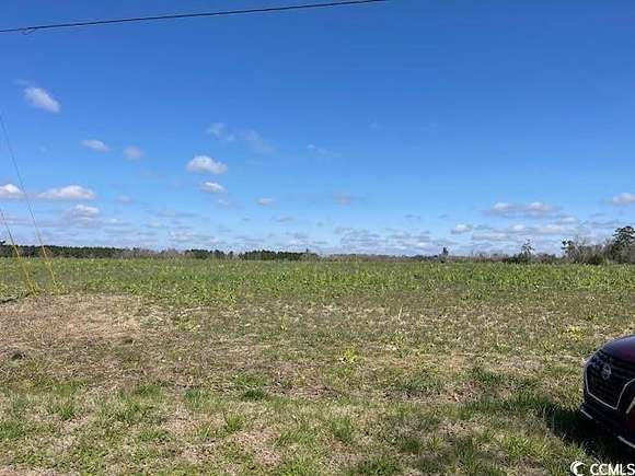 50 Acres of Agricultural Land for Sale in Loris, South Carolina