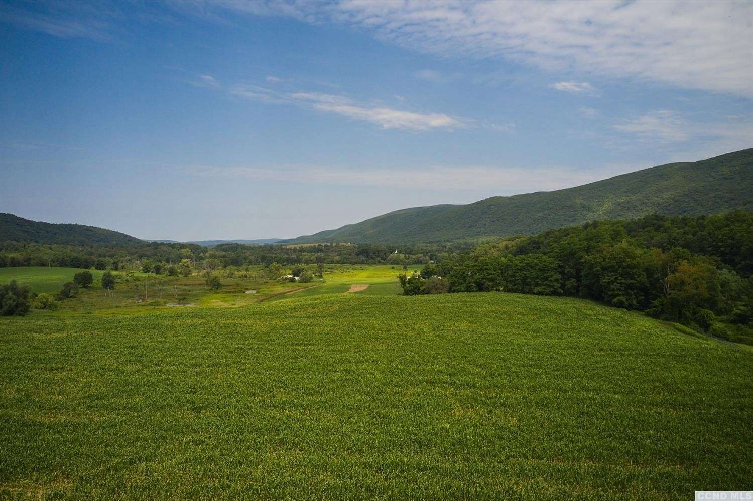 86.75 Acres of Recreational Land for Sale in Millerton, New York