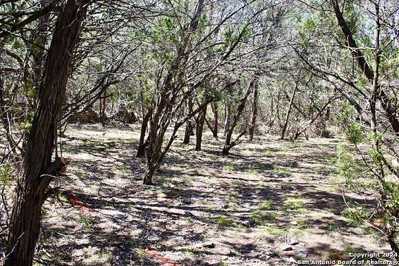 3.12 Acres of Residential Land for Sale in Spring Branch, Texas