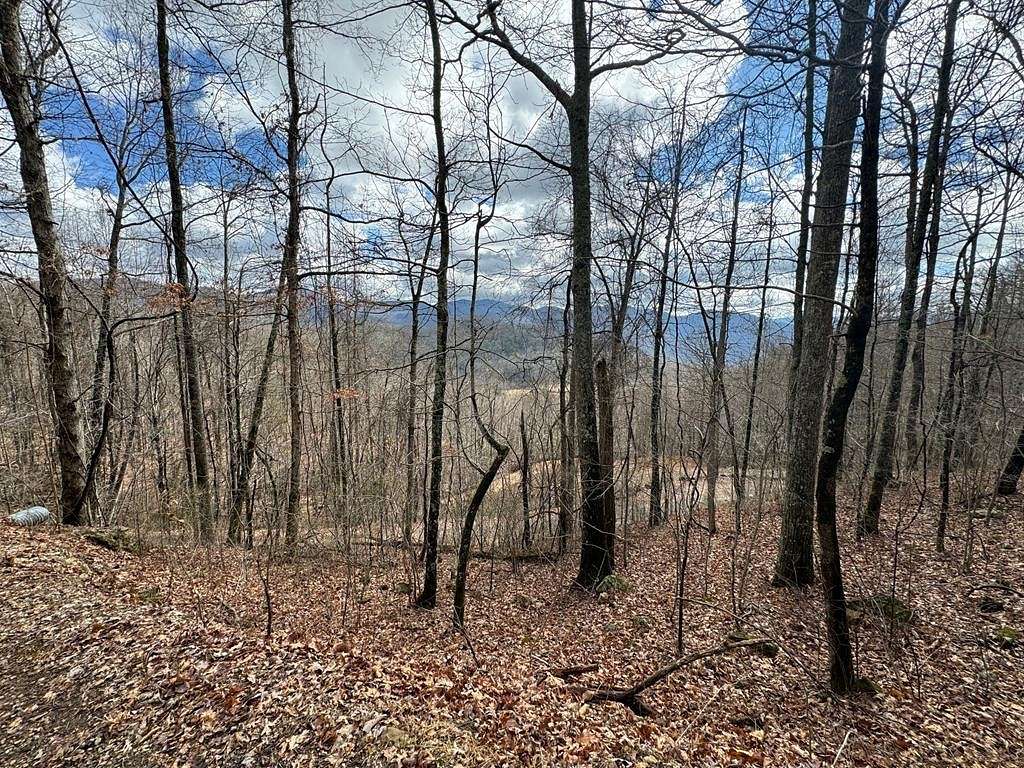 2.6 Acres of Residential Land for Sale in Millshoal Township, North Carolina