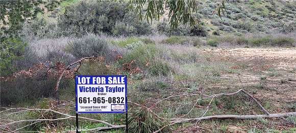 1 Acre of Land for Sale in Agua Dulce, California