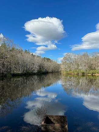 47.7 Acres of Recreational Land for Sale in Wrightsville, Georgia