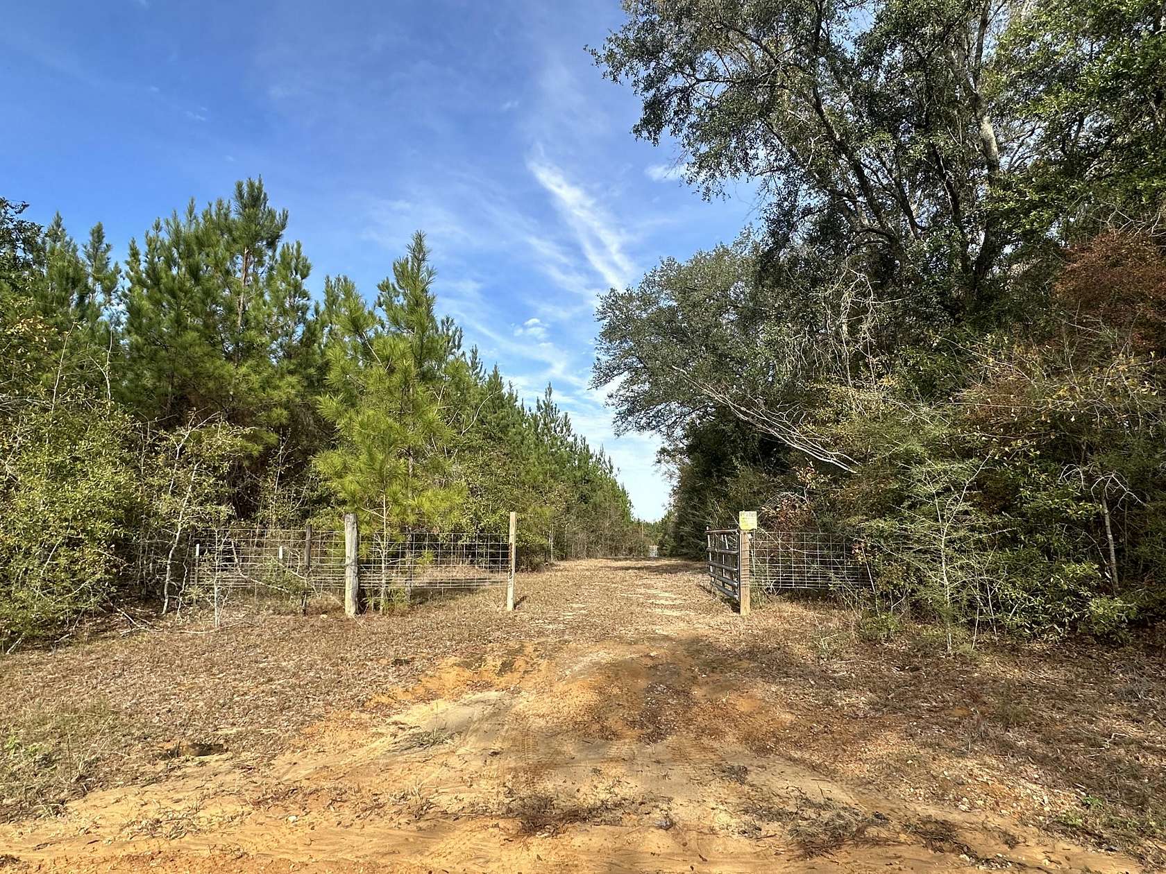 14 Acres of Recreational Land for Sale in Bonifay, Florida