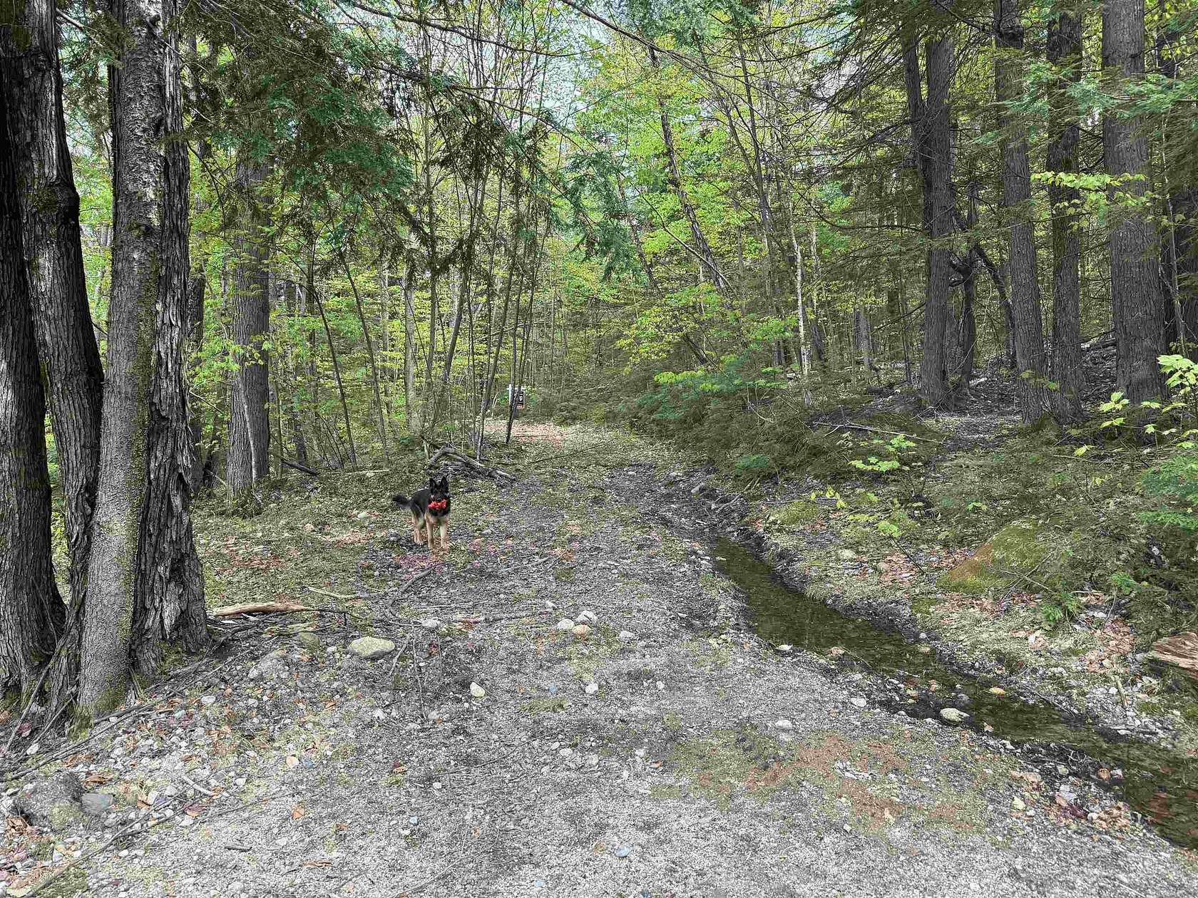 2.9 Acres of Residential Land for Sale in Ossipee, New Hampshire