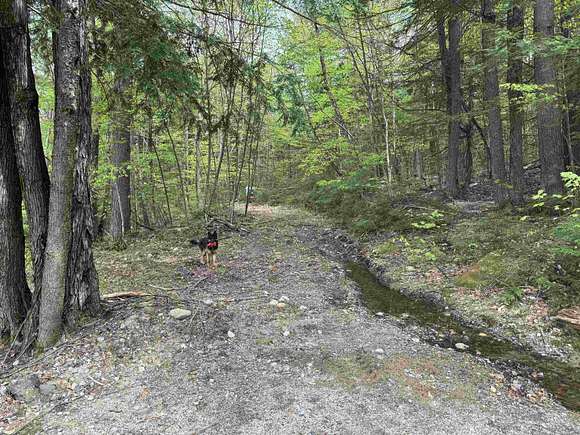 2.9 Acres of Residential Land for Sale in Ossipee, New Hampshire