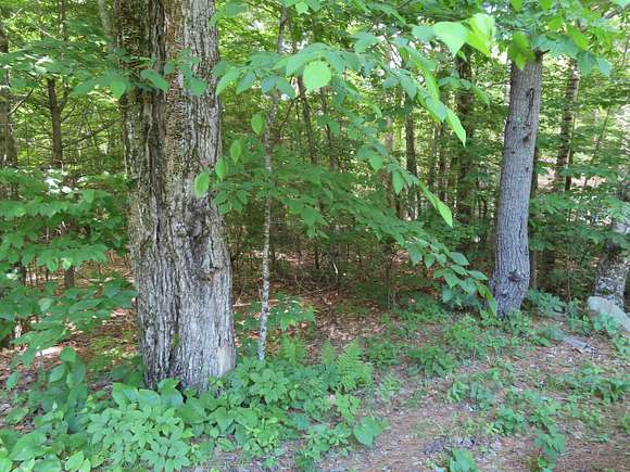 1.16 Acres of Residential Land for Sale in Alton, New Hampshire