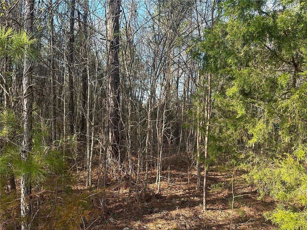 10 Acres of Land for Sale in Salem, Alabama