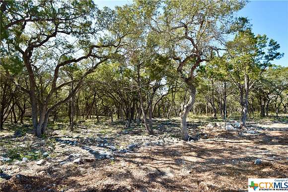 0.297 Acres of Residential Land for Sale in San Marcos, Texas