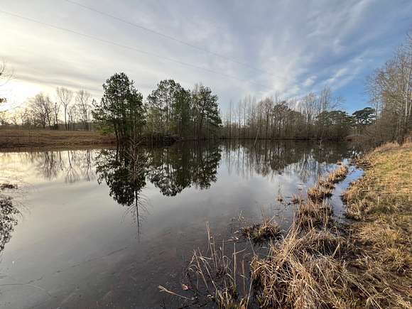 8 Acres of Recreational Land & Farm for Sale in Camden, Alabama
