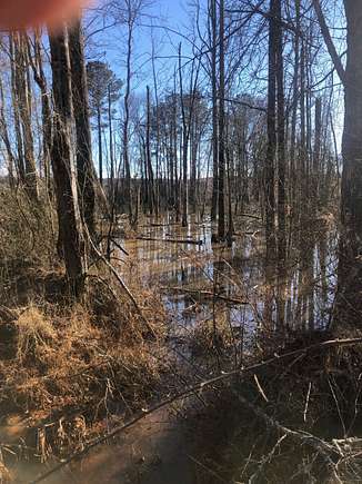 128 Acres of Land for Sale in Butler, Georgia