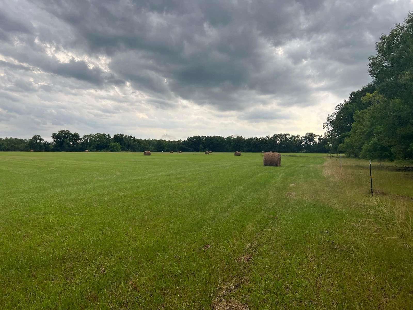 30 Acres of Land for Sale in Wisner, Louisiana