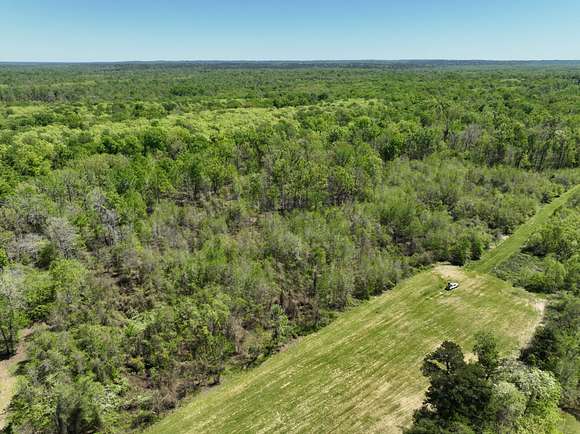 1,468 Acres of Recreational Land & Farm for Sale in Coffeeville, Alabama