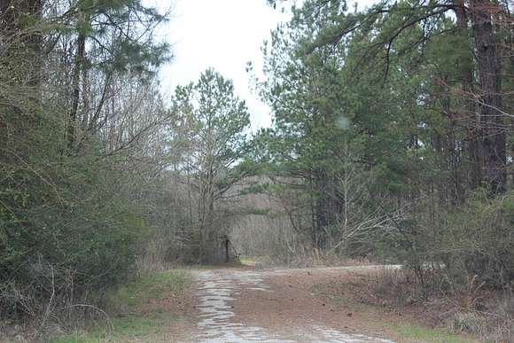 585 Acres of Recreational Land & Farm for Sale in Linden, Alabama