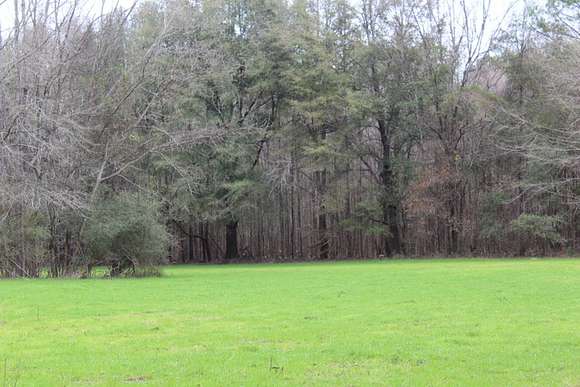 585 Acres of Recreational Land & Farm for Sale in Linden, Alabama
