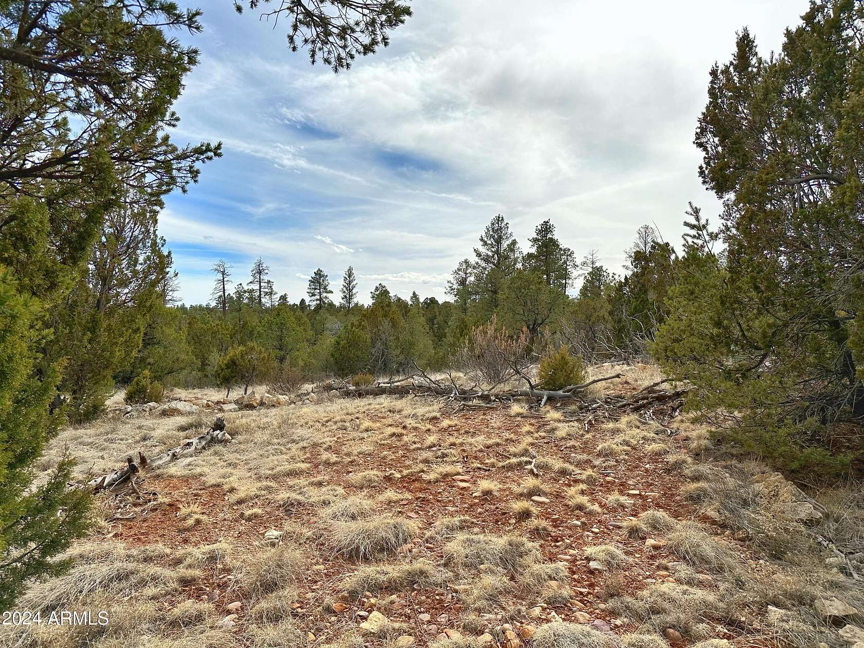 4 Acres of Residential Land for Sale in Heber, Arizona
