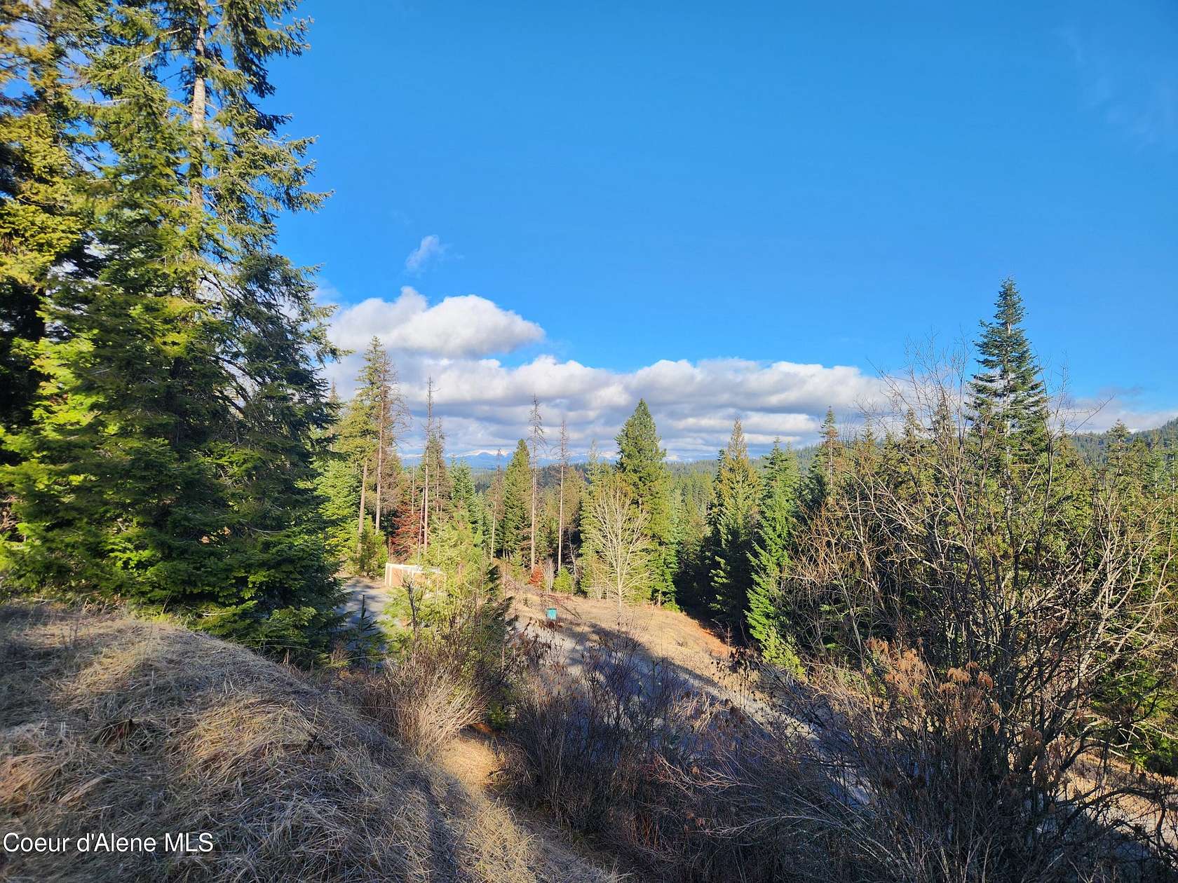 2.7 Acres of Residential Land for Sale in Coeur d'Alene, Idaho