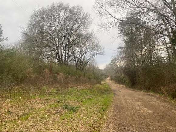 2 Acres of Land for Sale in Magnolia, Mississippi