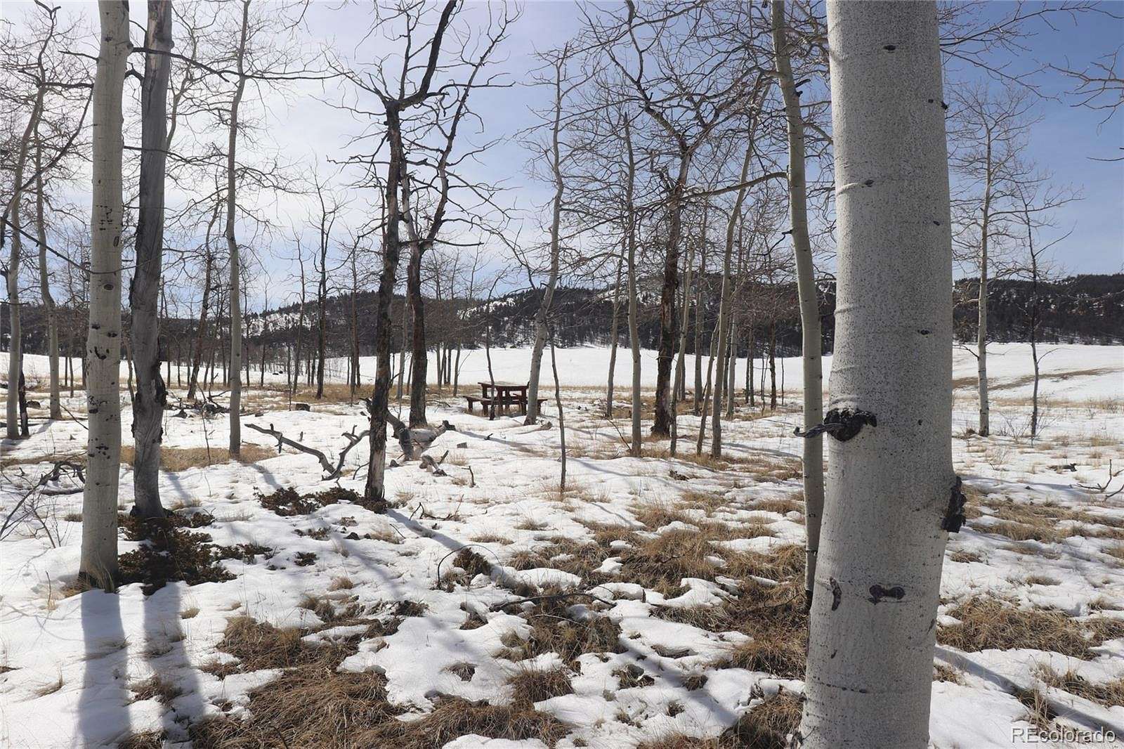 3 Acres of Residential Land for Sale in Hartsel, Colorado