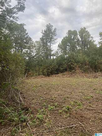 1.8 Acres of Land for Sale in Centreville, Alabama