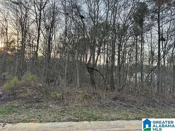 0.38 Acres of Residential Land for Sale in Pell City, Alabama