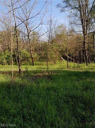 41 Acres of Agricultural Land for Sale in Newark, Ohio