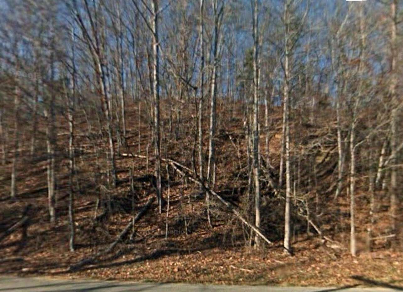 6.7 Acres of Residential Land for Sale in Decatur, Tennessee
