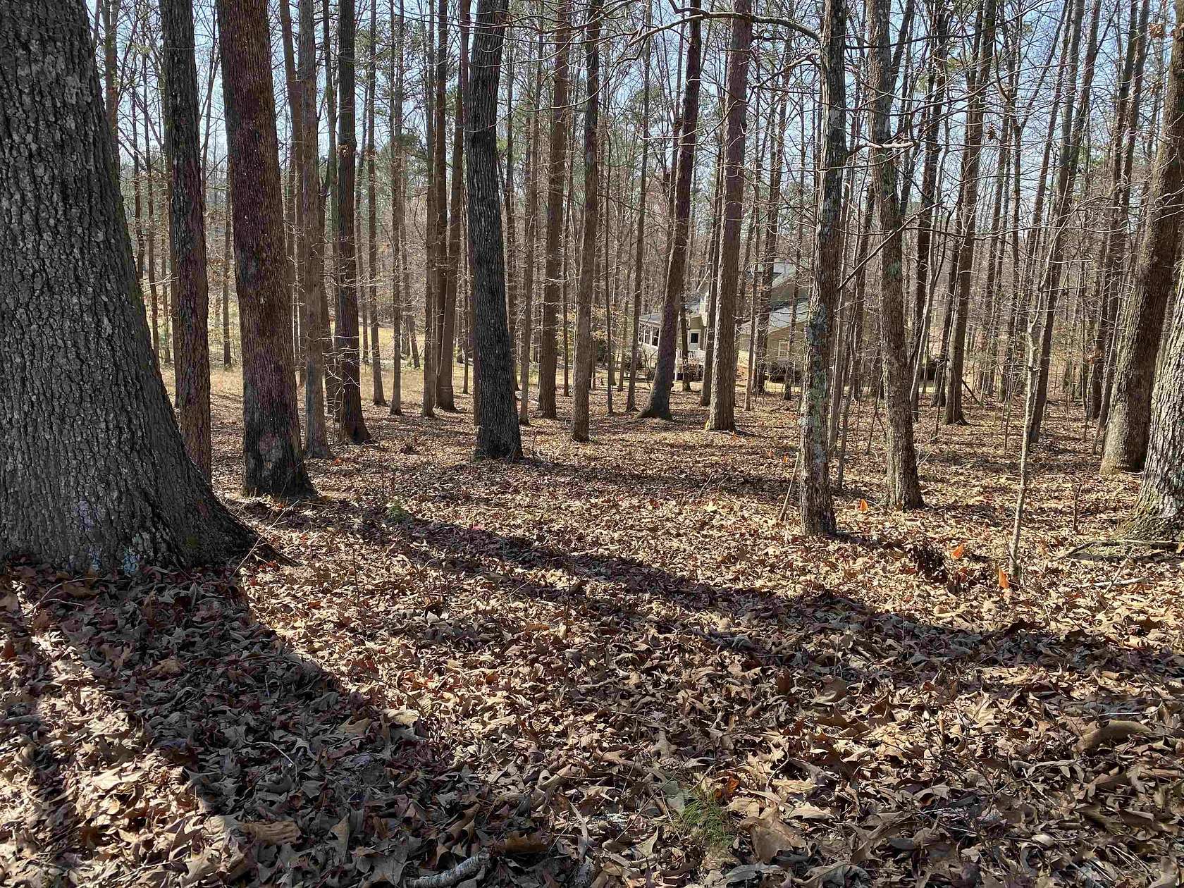0.6 Acres of Land for Sale in Counce, Tennessee