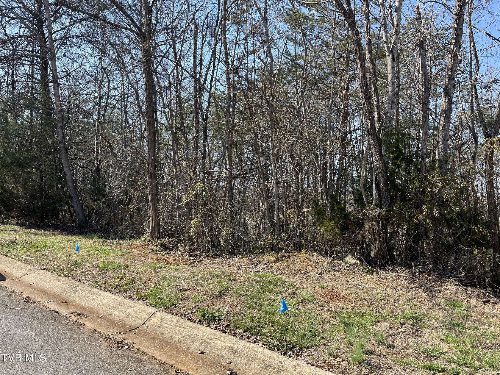 0.63 Acres of Residential Land for Sale in Greeneville, Tennessee