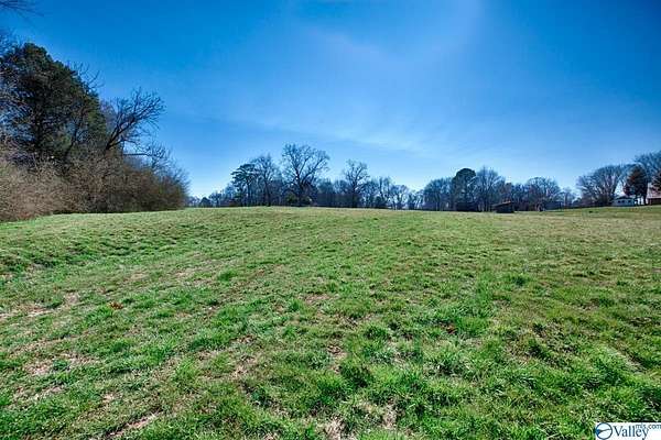 36 Acres of Land for Sale in Meridianville, Alabama