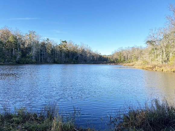 70 Acres of Land for Sale in Quincy, Florida