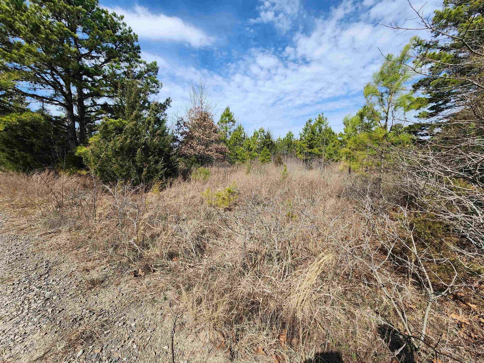 10.3 Acres of Land for Sale in Romance, Arkansas