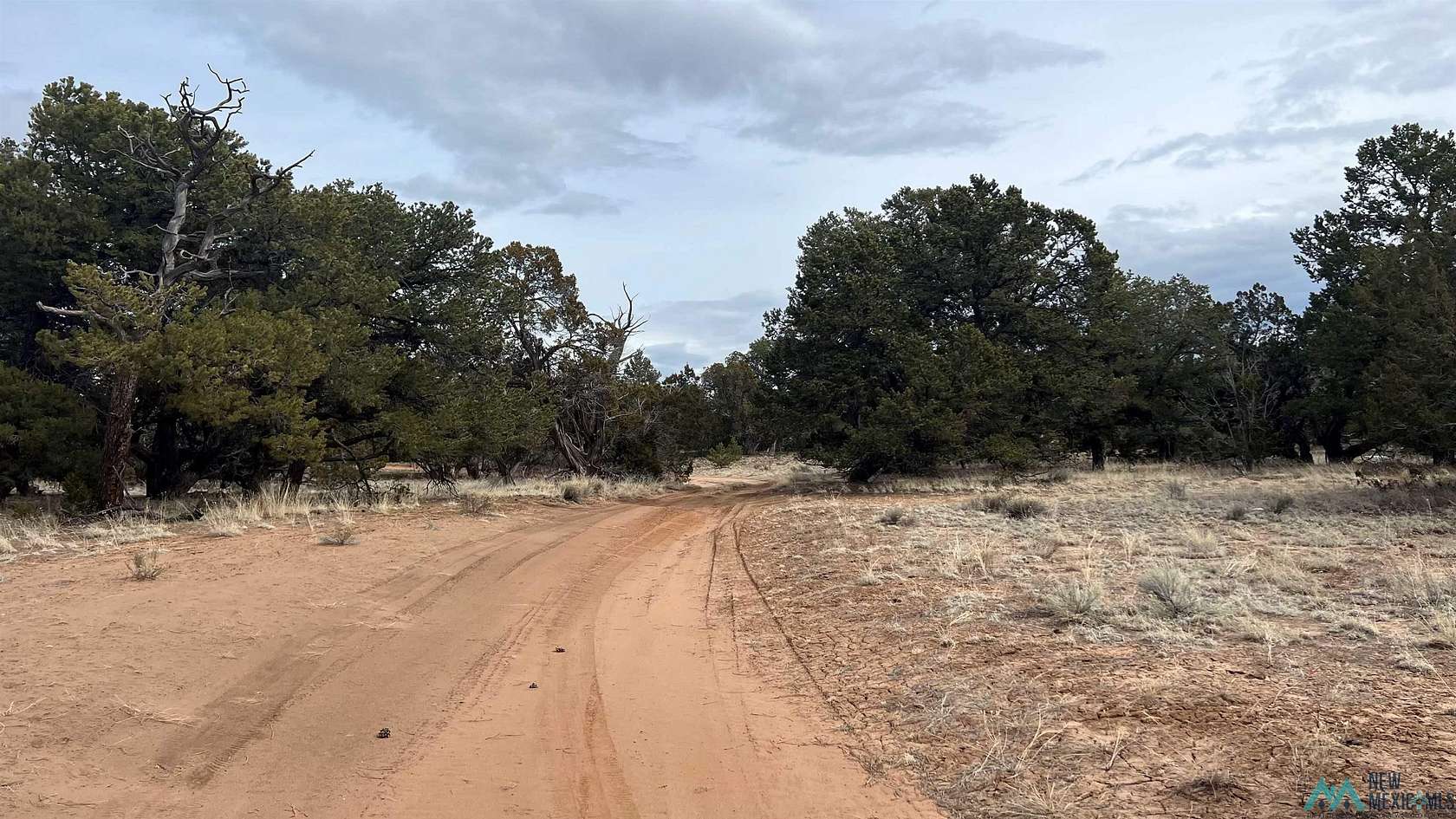 11.6 Acres of Land for Sale in Pie Town, New Mexico