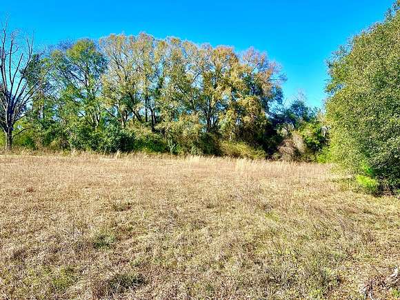 16 Acres of Land for Sale in Headland, Alabama