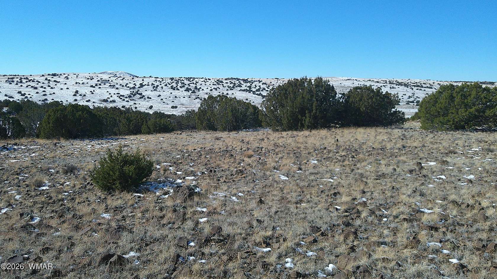 1 Acre of Residential Land for Sale in Concho, Arizona