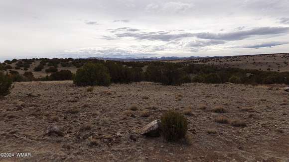 1.04 Acres of Residential Land for Sale in Concho, Arizona