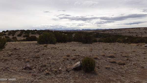 1 Acre of Residential Land for Sale in Concho, Arizona