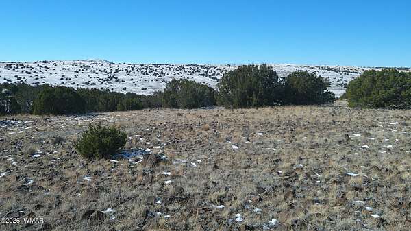 1 Acre of Residential Land for Sale in Concho, Arizona