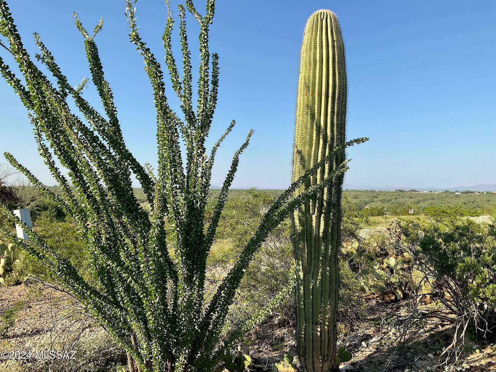 1.1 Acres of Residential Land for Sale in Marana, Arizona