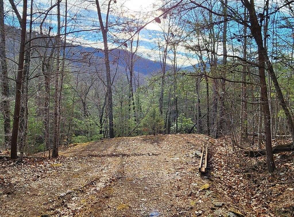 39.17 Acres of Recreational Land for Sale in Franklin, North Carolina